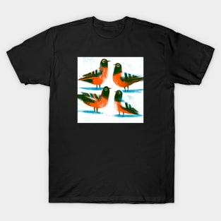 Pigeons 3 T-Shirt